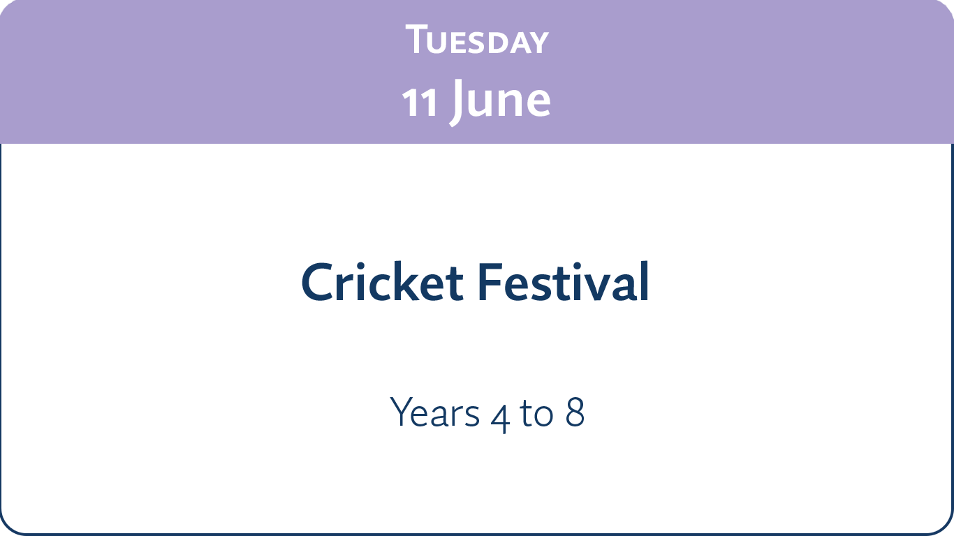 Cricket