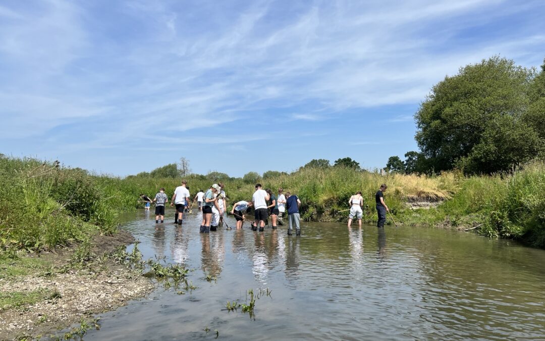 Meandering Down the River Cole