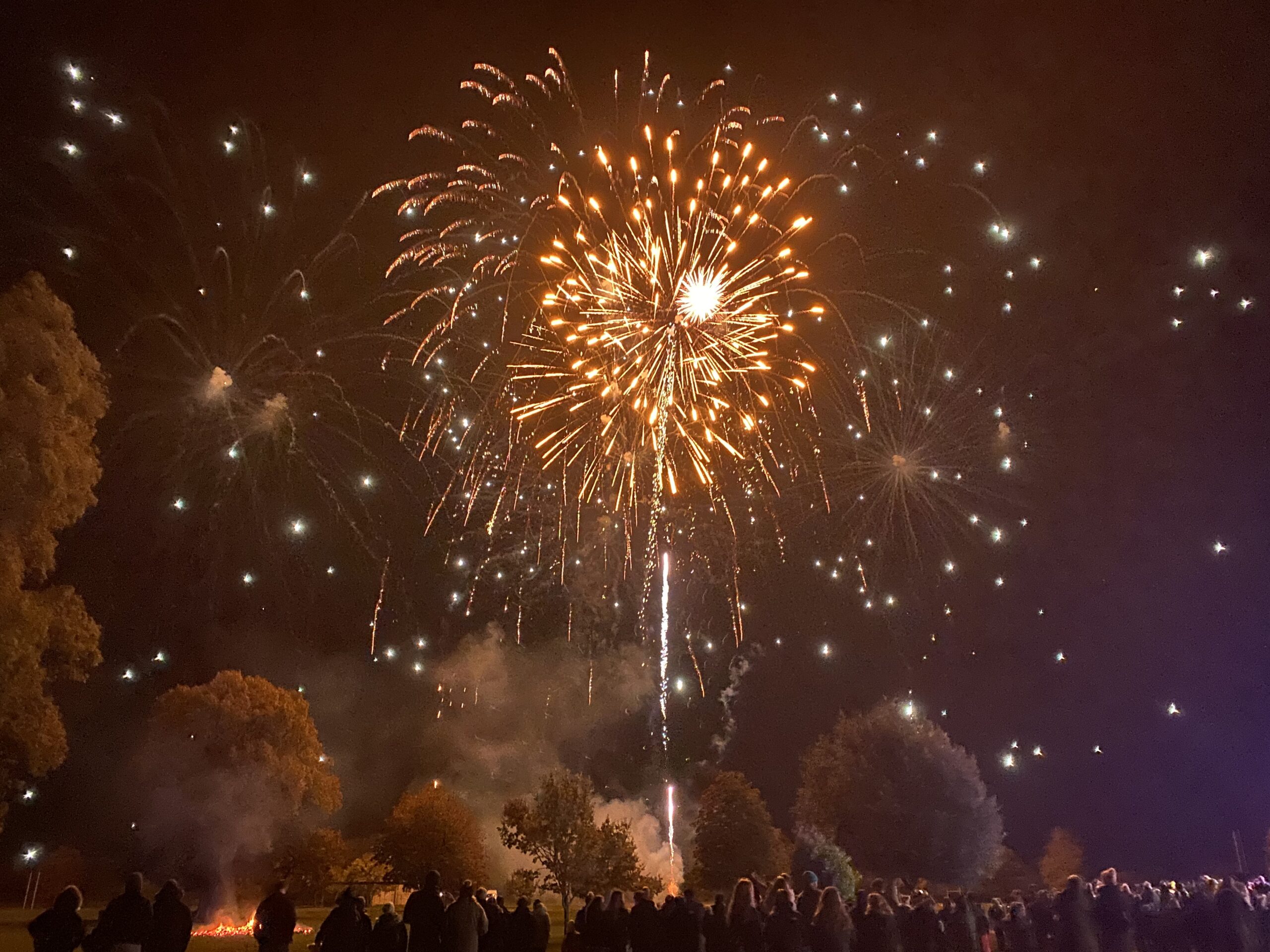 Fireworks at Cokethorpes Fireworks Extravaganza