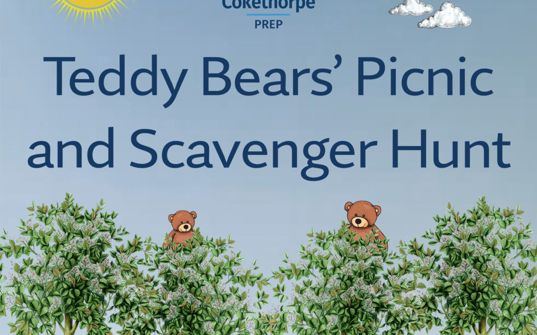 Teddy Bear’s Picnic and Scavenger Hunt