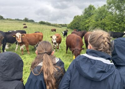 Food for Thought for Year 6 at ‘Wildfarmed’