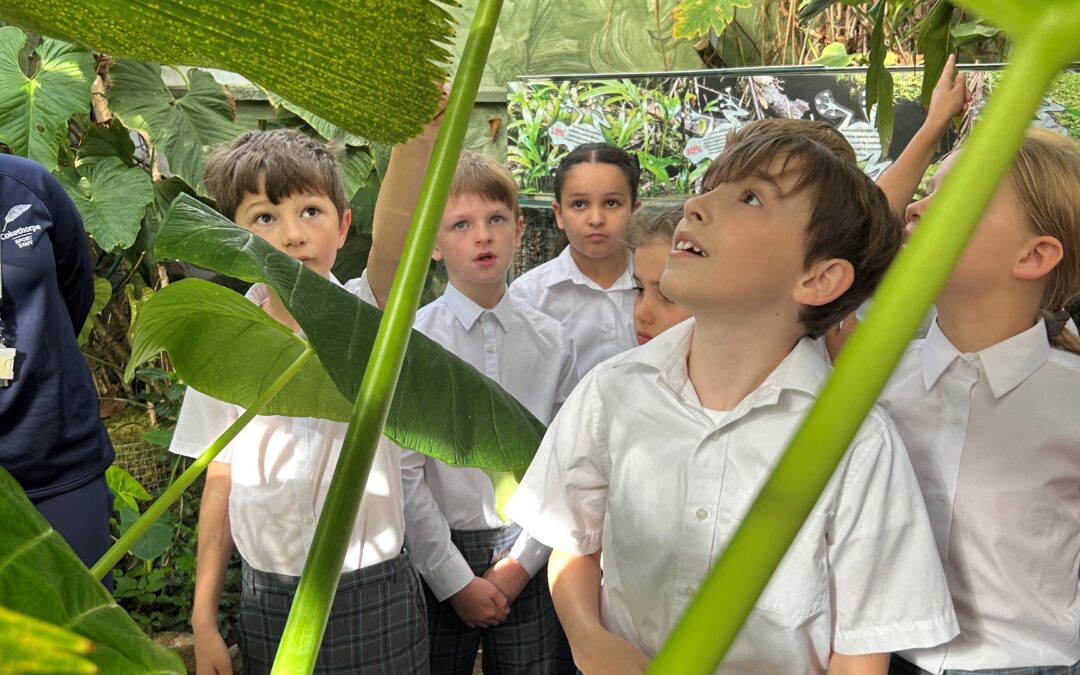 Topical Visit to Tropical Rainforest
