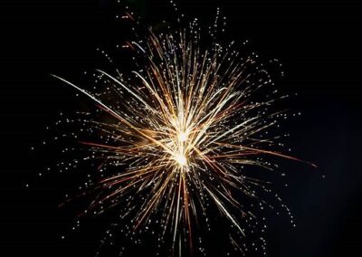Sparks Fly at CPFA Fireworks Night