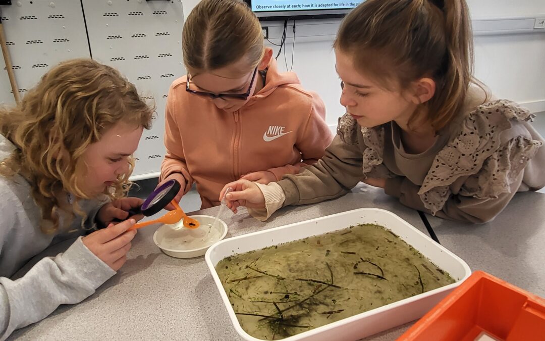 Year 5 Discover Wonders at Science Oxford