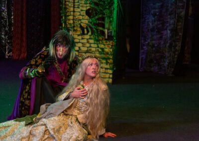 Going ‘Into the Woods’ with the Brothers Grimm