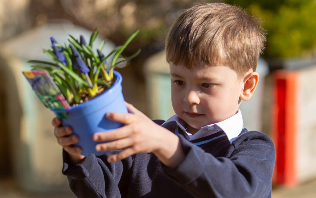 Planting Community Spirit at Prep School Giving Week