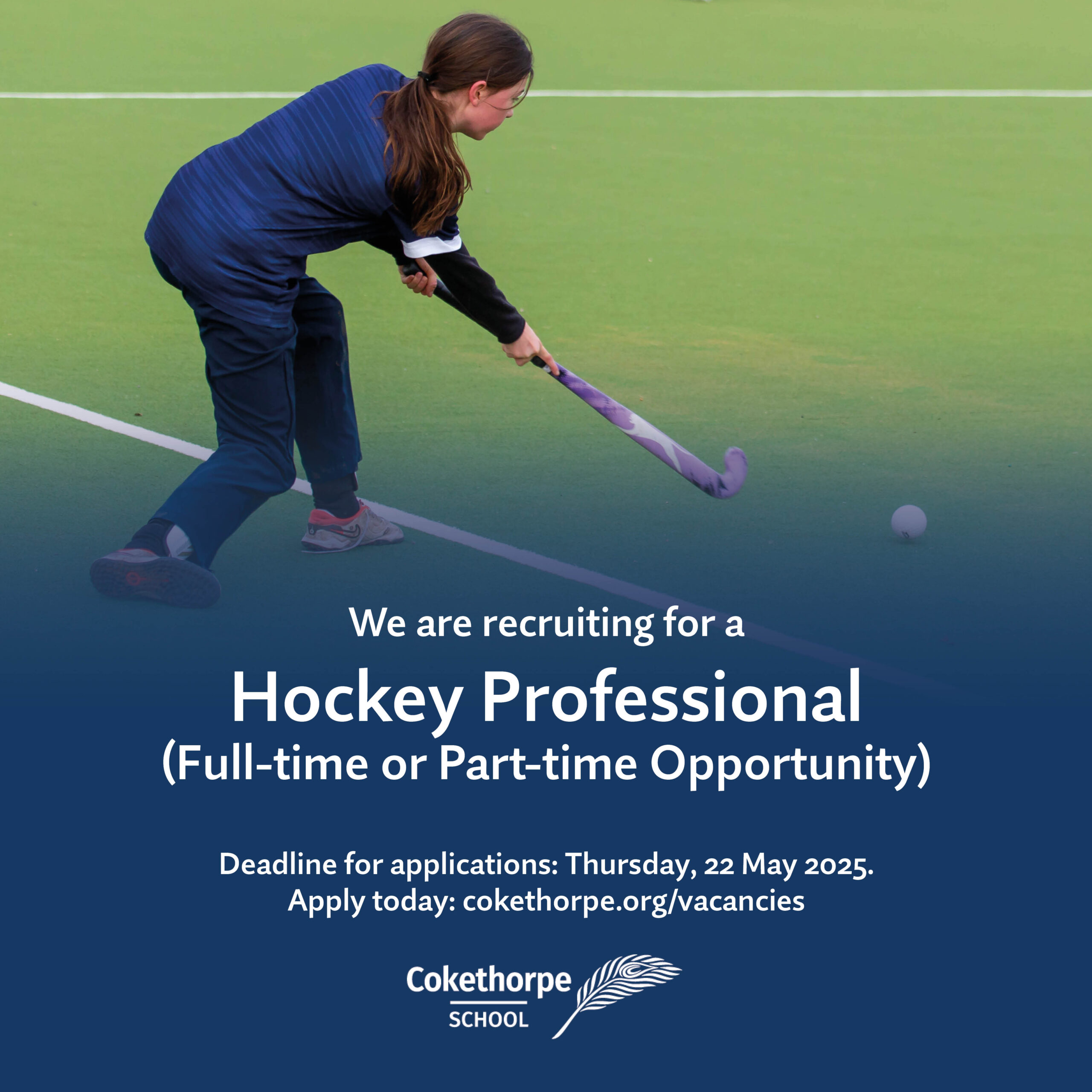 Hockey Professional