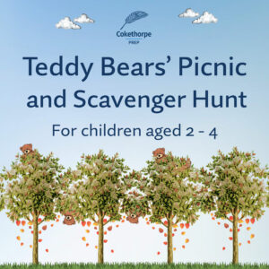 Teddy Bears’ Picnic and Scavenger Hunt