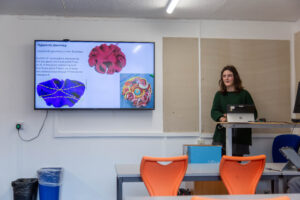 Fascinating Geometry Presentations