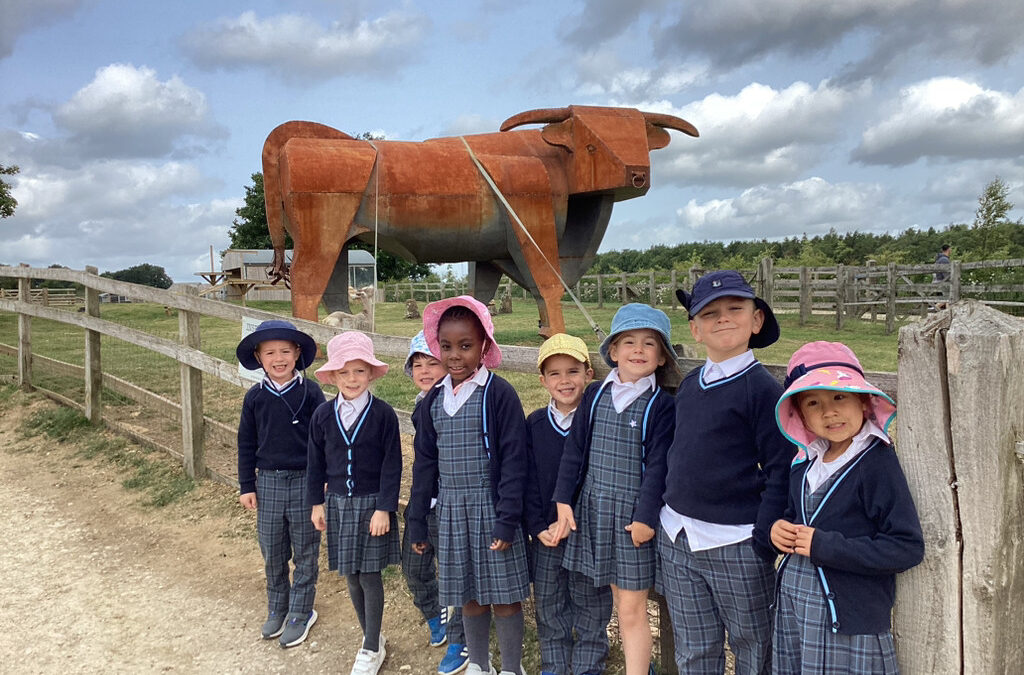 Animal Adventures at Cotswold Farm Park