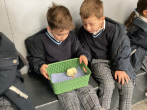 Animal Adventures at Cotswold Farm Park