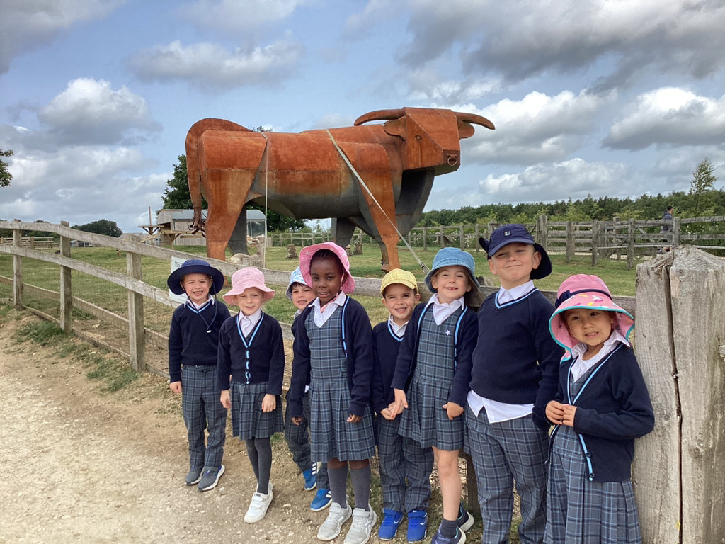 Animal Adventures at Cotswold Farm Park
