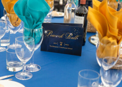 The Peacock Ball