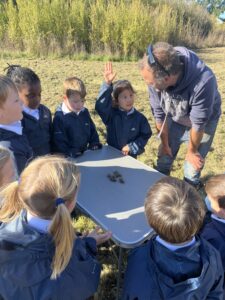 Year 1 Farm Adventure