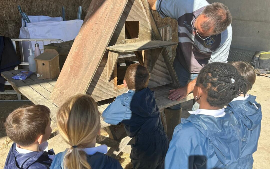 Year 1 Farm Adventure 