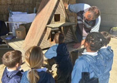 Year 1 Farm Adventure 