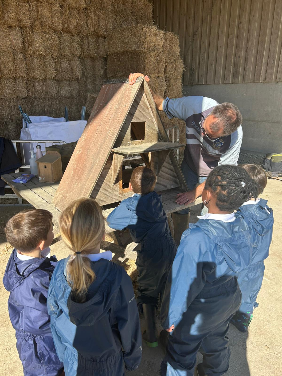 Year 1 Farm Adventure