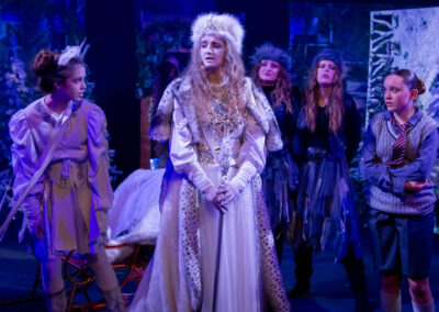 A Journey Through Narnia 