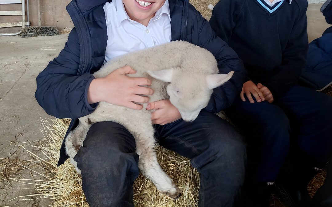 Hands-On Farm Experiences