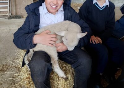 Hands-On Farm Experiences