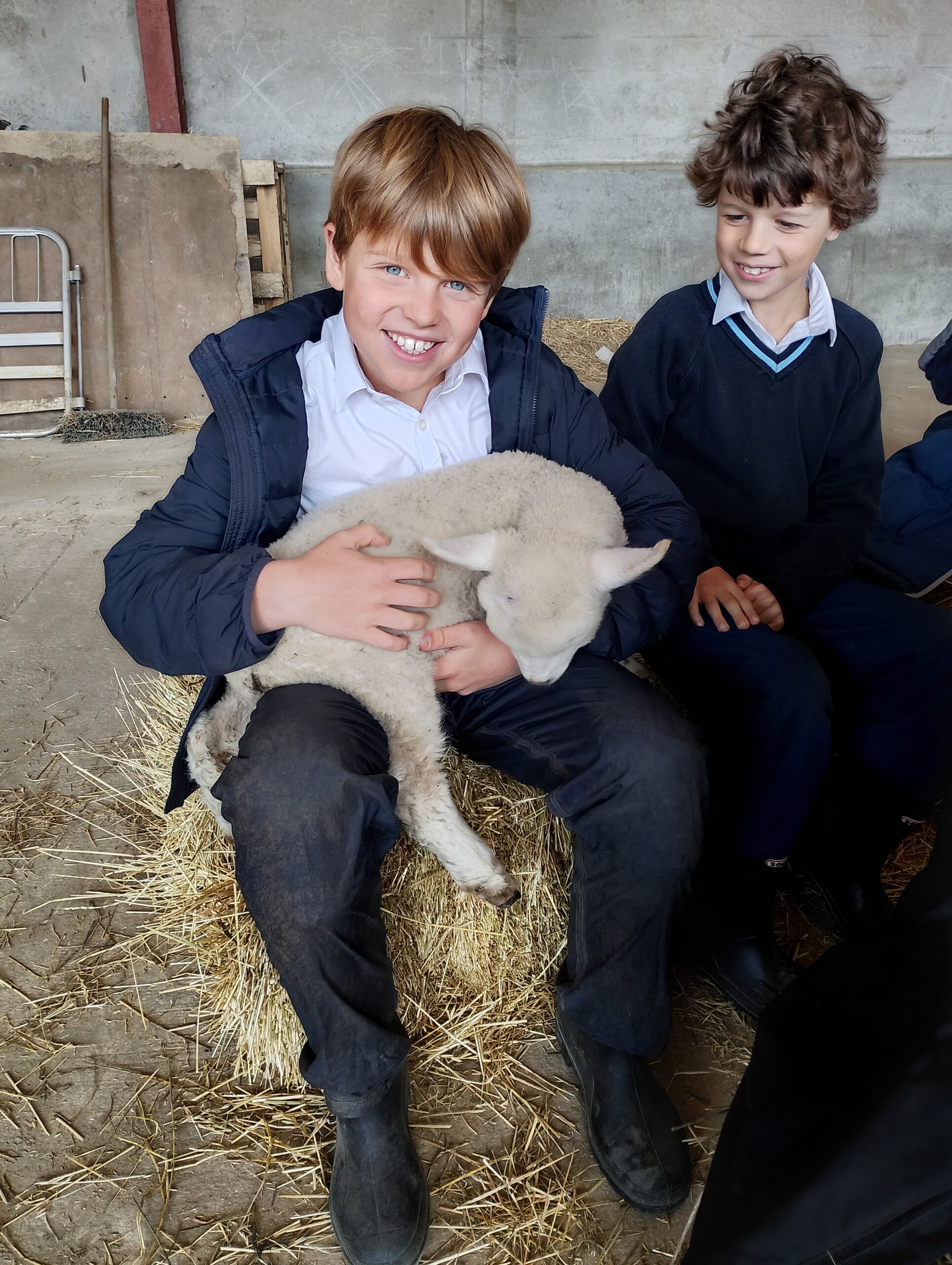 Y4 Farm experience Hands-On Farm Experiences