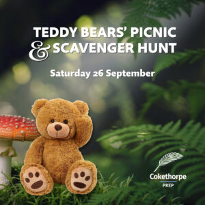 Teddy Bears Picnic & Scavenger Hunt